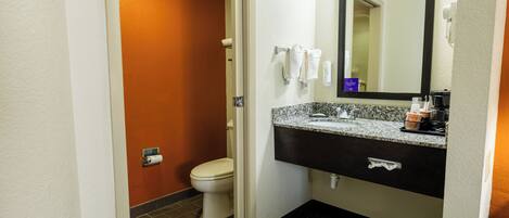 A bathroom with a white toilet, a sink with a dark countertop, and a mirror above the sink.