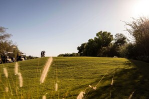 Golfe