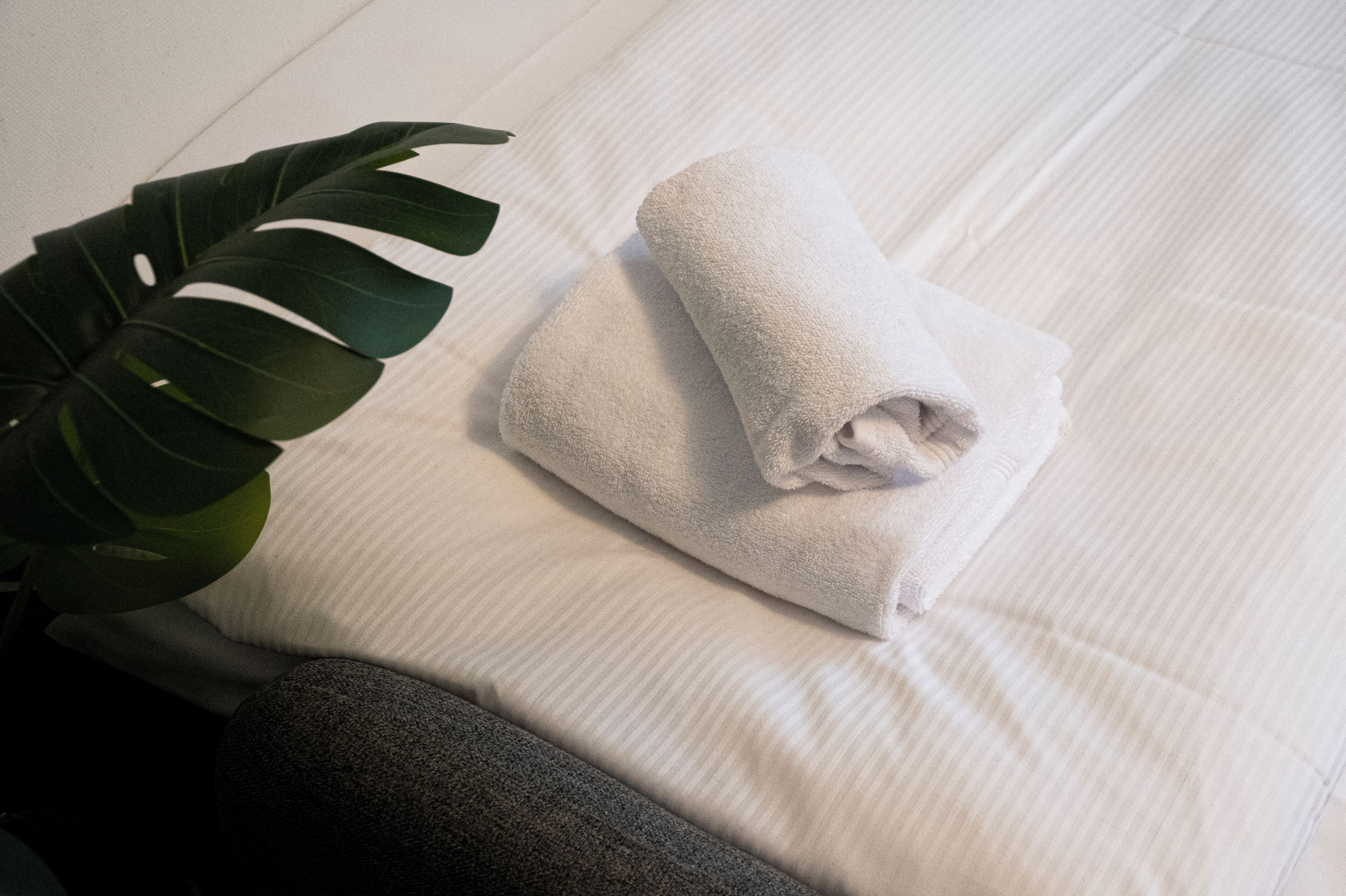 A neatly made bed with a rolled white towel and a large green plant beside it.