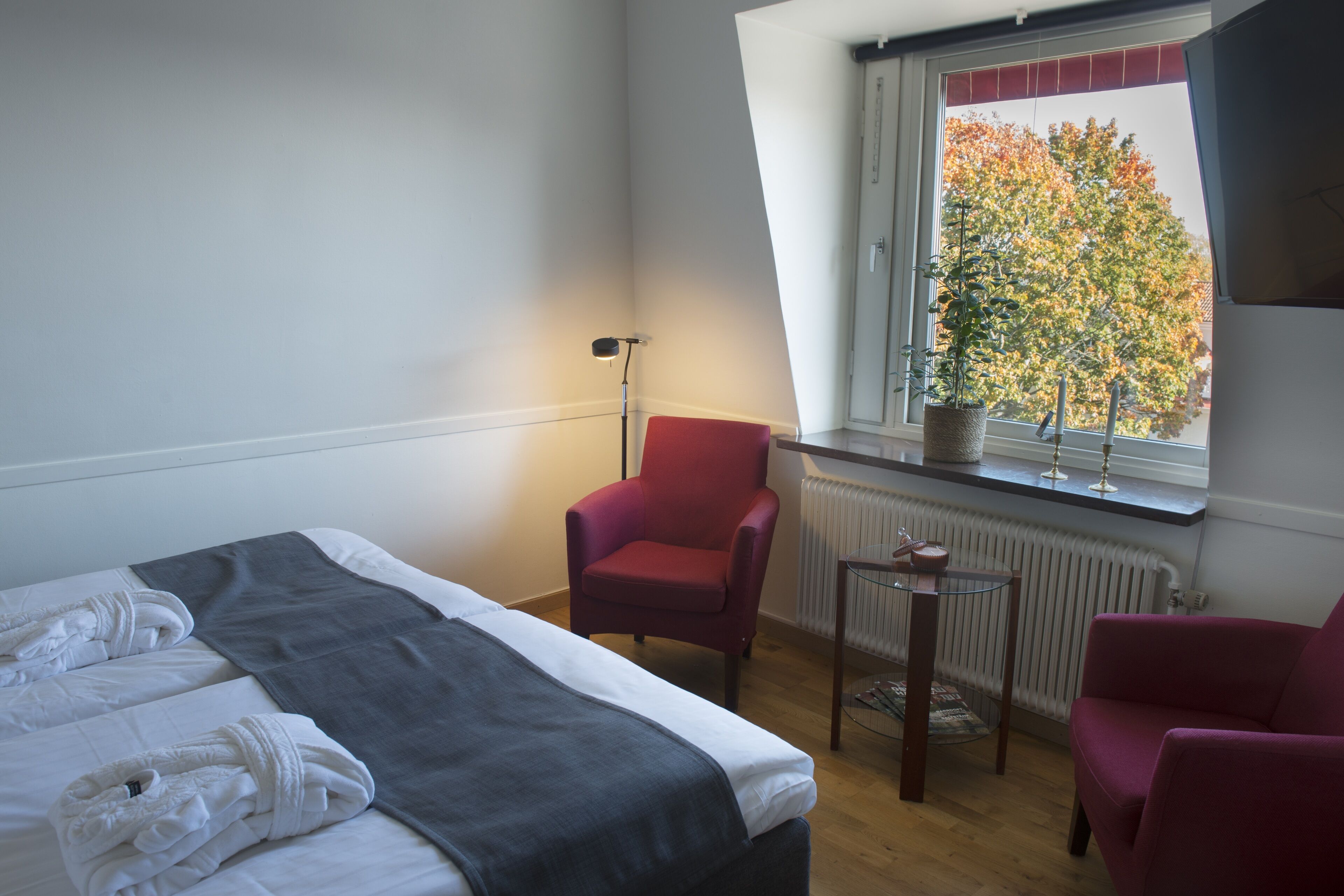 Une chambre d’hôtel avec un lit, deux chaises, une petite table, un radiateur et une fenêtre donnant sur des arbres.