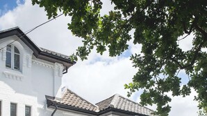 Un bâtiment blanc doté d’une entrée moderne, d’un petit arbre devant et d’une enseigne indiquant « The George Hotel Arlington ».