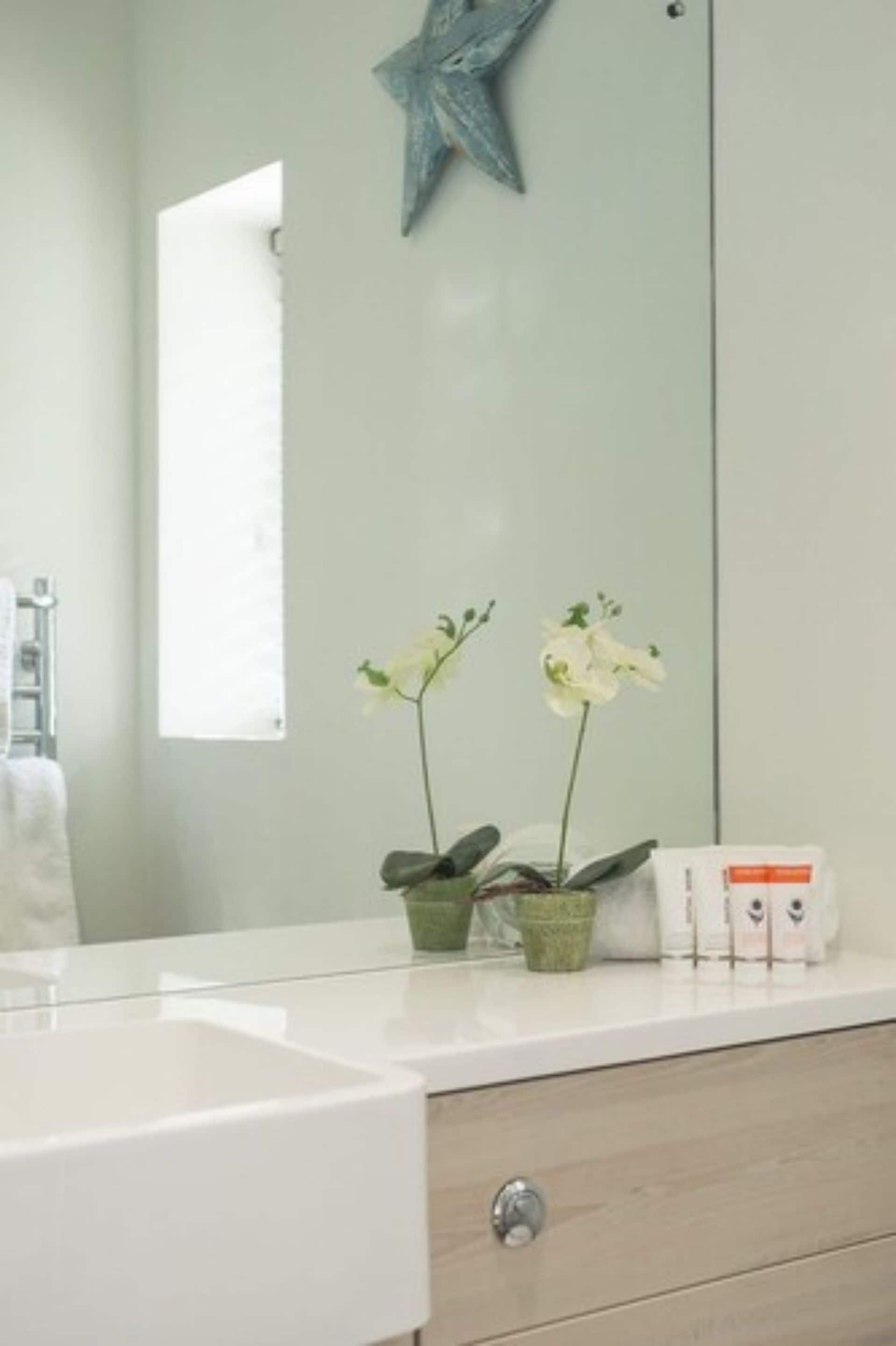 A bathroom with a white sink, two orchid plants in green pots, a star decoration on the wall, and a towel rack.