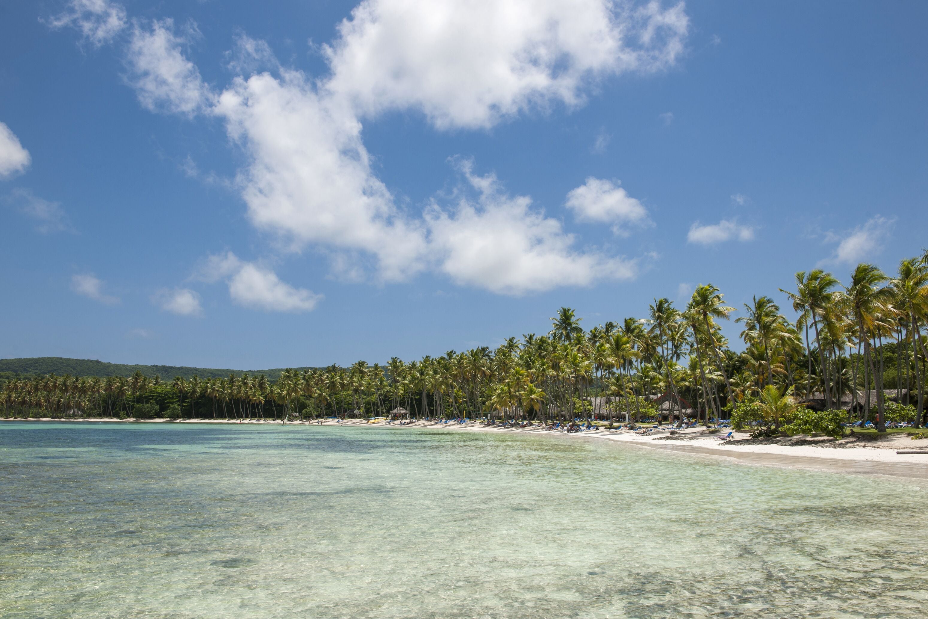 Een strand met helder turquoise water, palmbomen en een zandstrand.