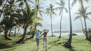 A couple walking on a grassy path surrounded by palm trees, with a body of water and mountains in the background.