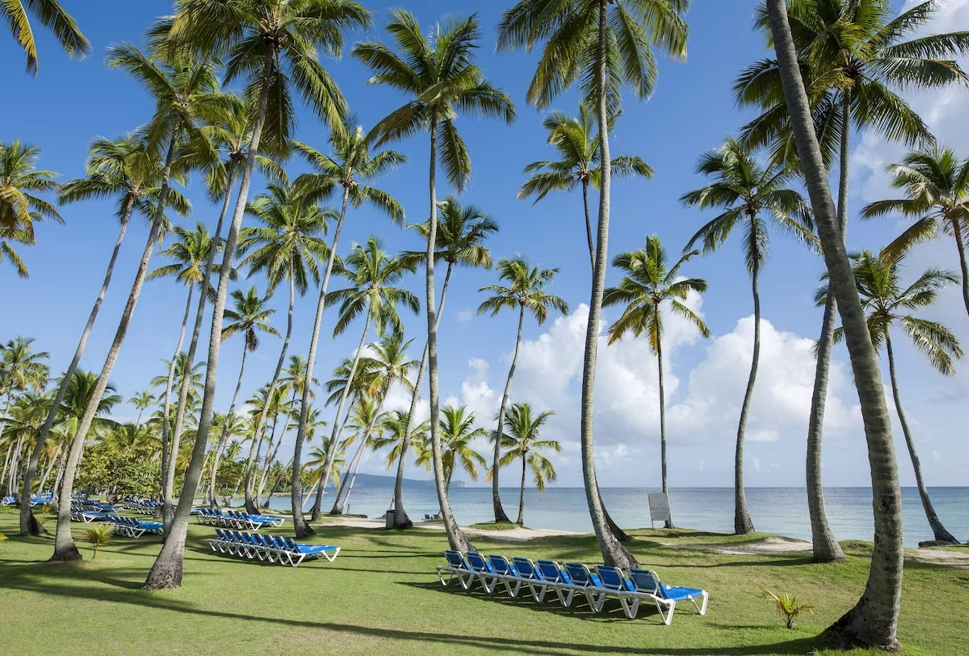 Plage, chaises longues, serviettes de plage