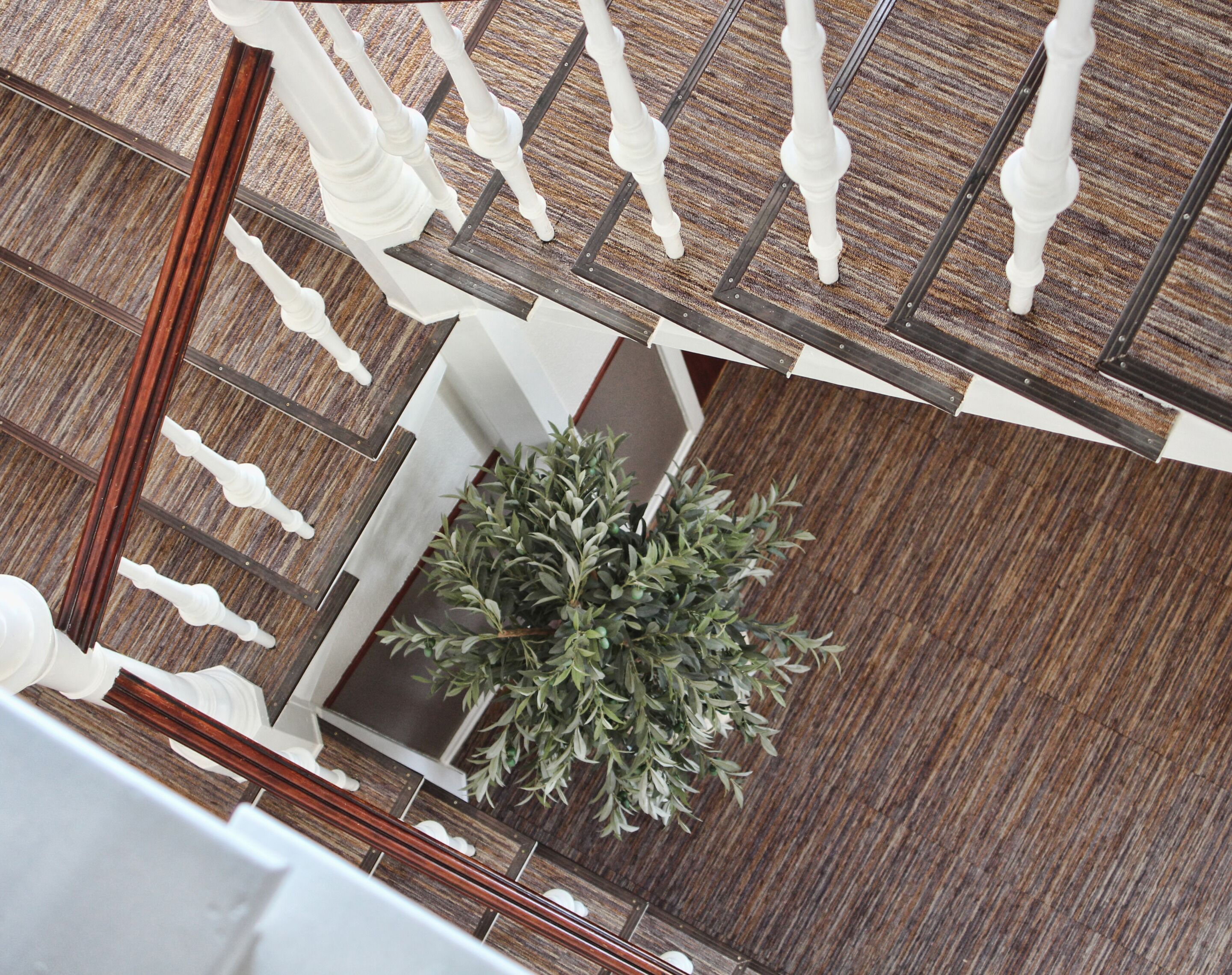 A wooden staircase with white balusters and a potted plant at the bottom.