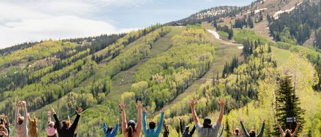 A group of people doing yoga on mats in an open grassy area with a mountainous backdrop.