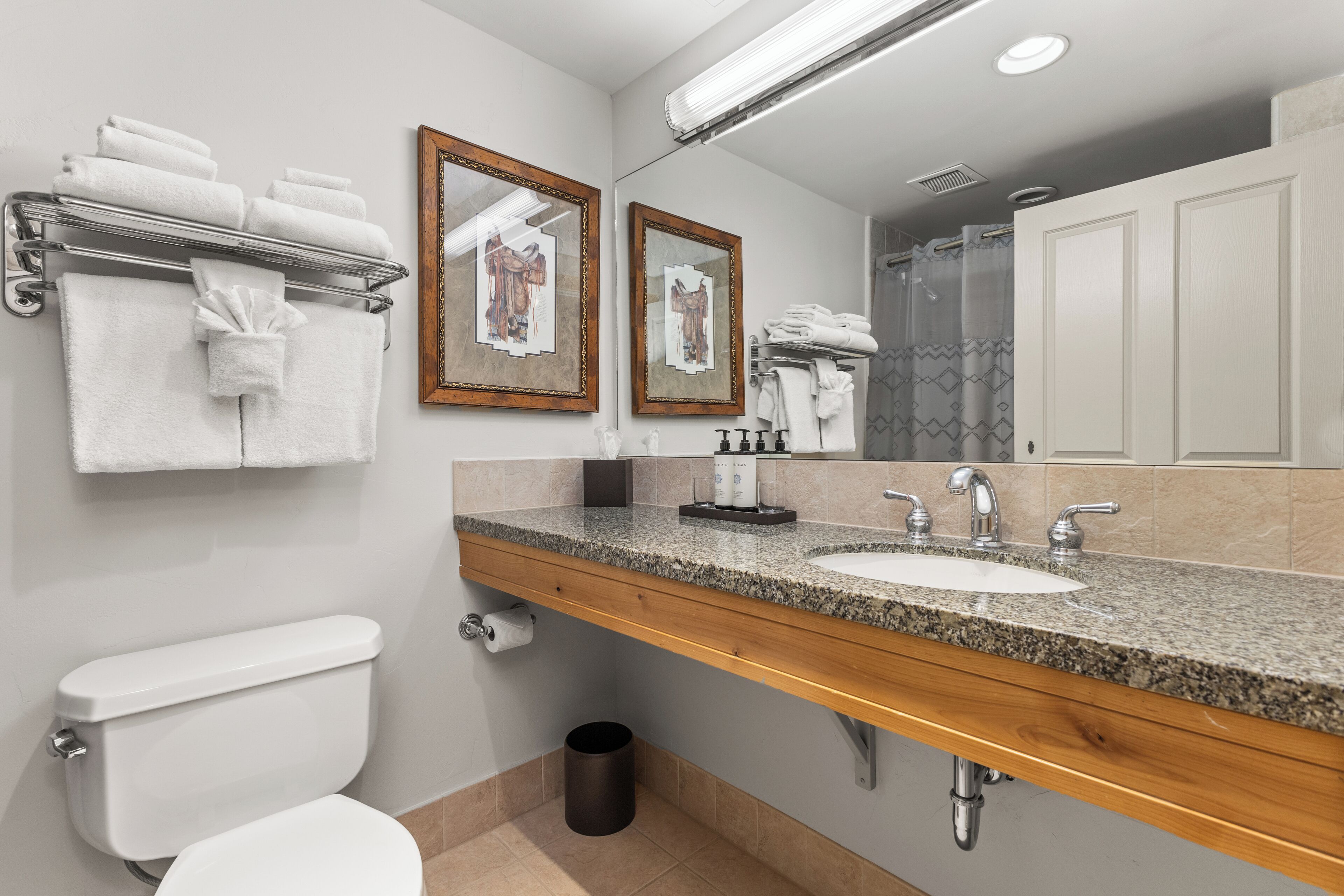 combined shower/bathtub, free toiletries, hair dryer, bathrobes