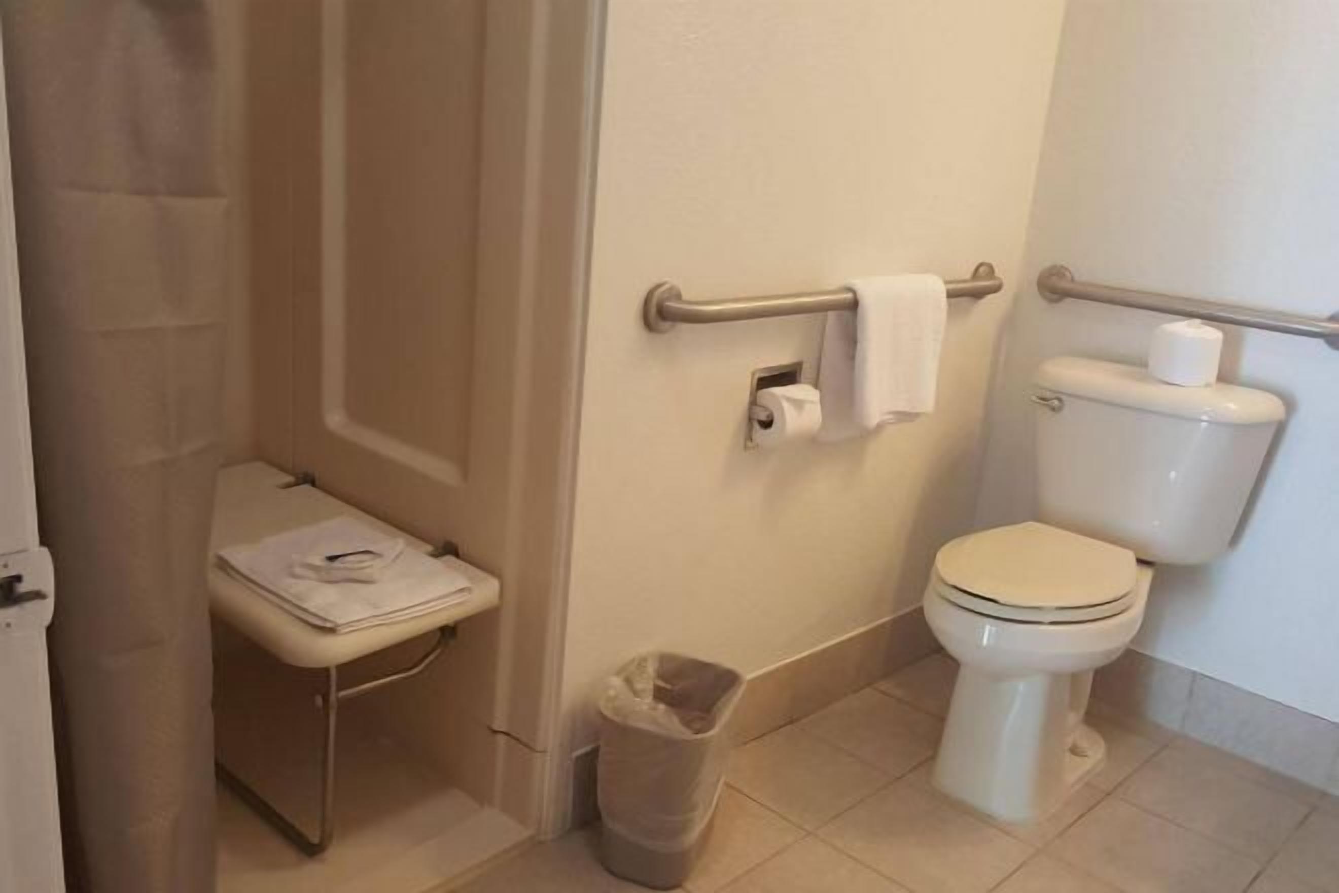 バスルーム | シャワー付き浴槽、バスアメニティ (無料)、ヘアドライヤー、タオル