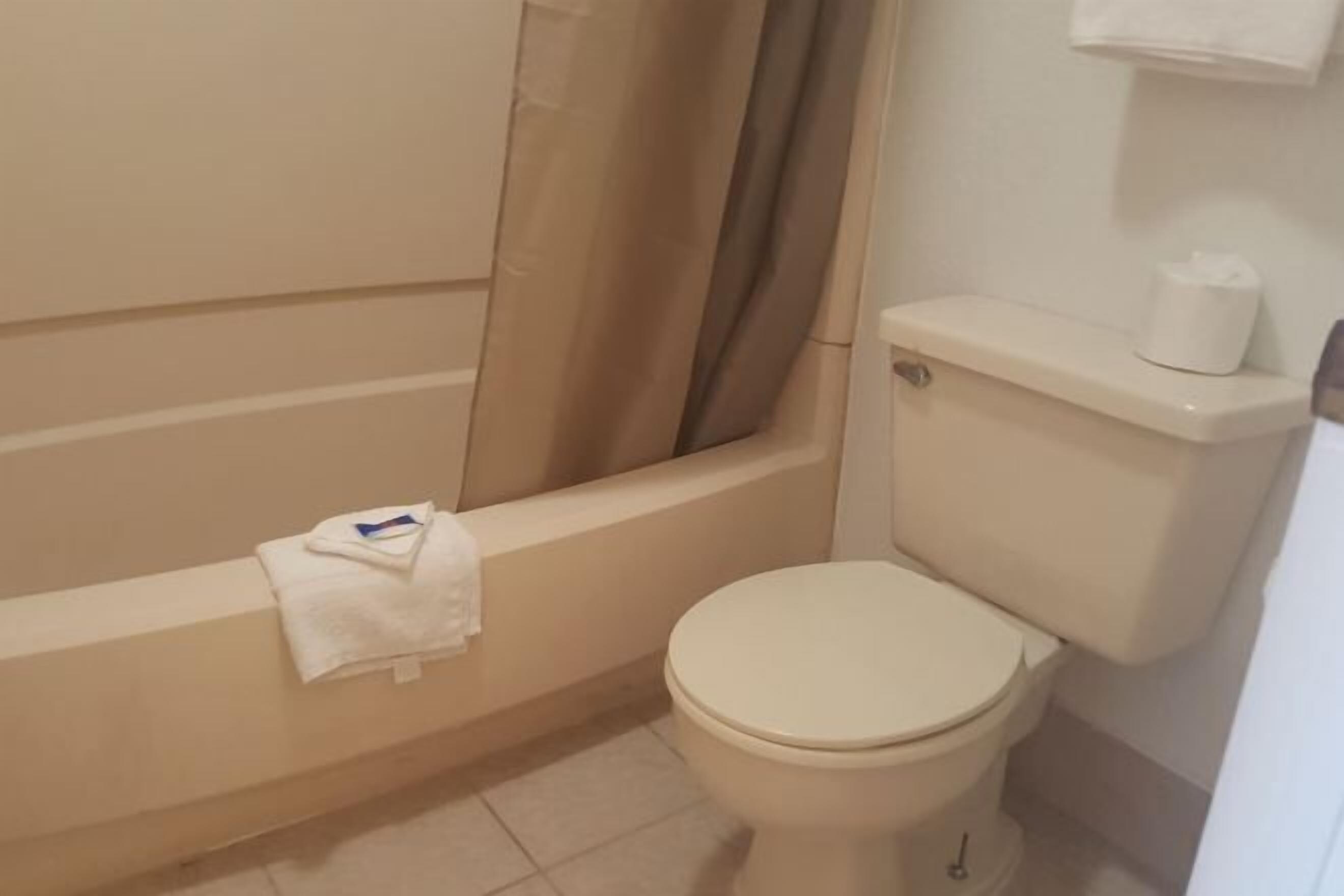 シャワー付き浴槽、バスアメニティ (無料)、ヘアドライヤー、タオル