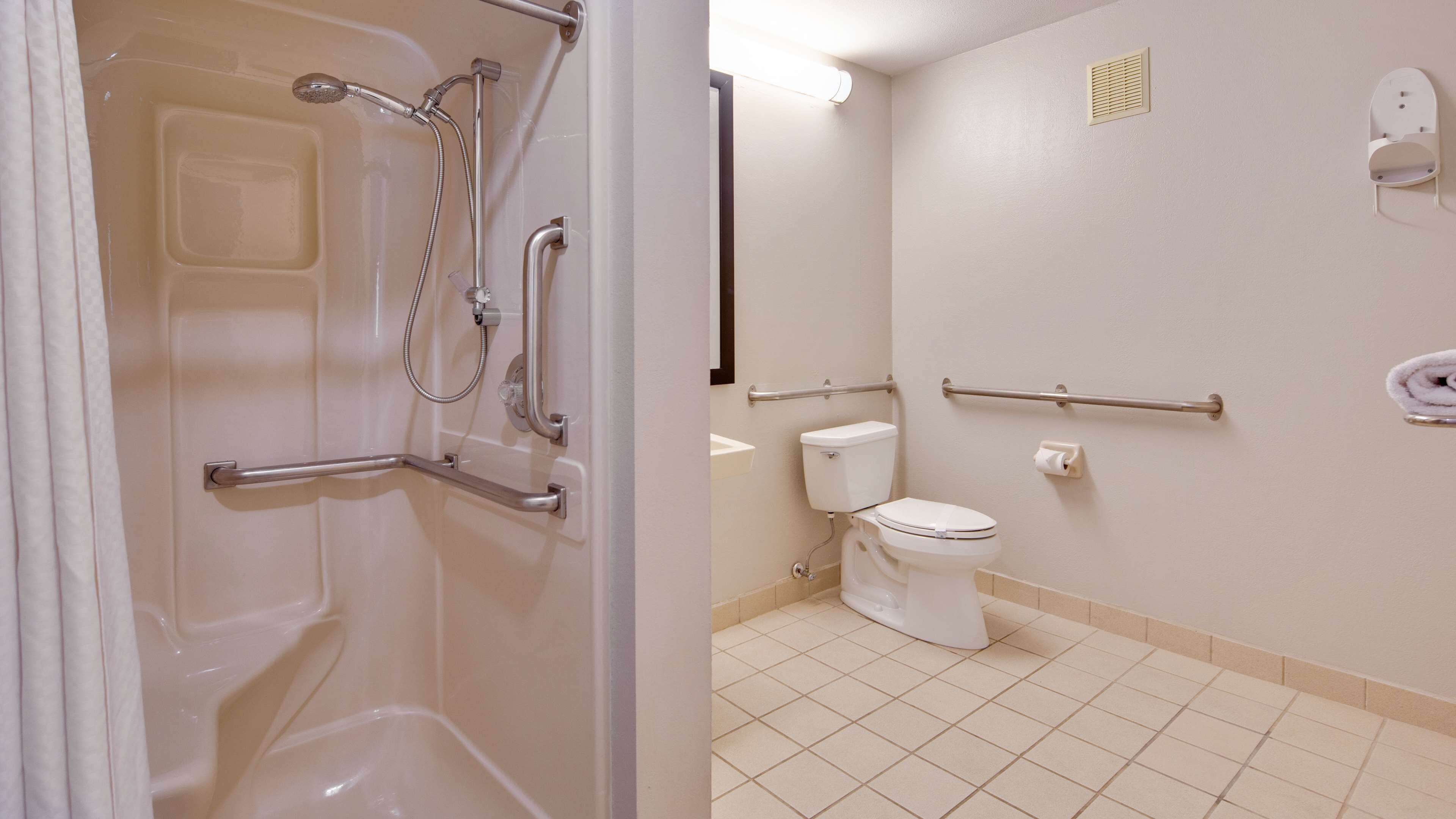 standard room, 1 queen bed, accessible, refrigerator & microwave (walk-in shower) | bathroom | free toiletries, hair dryer, towels