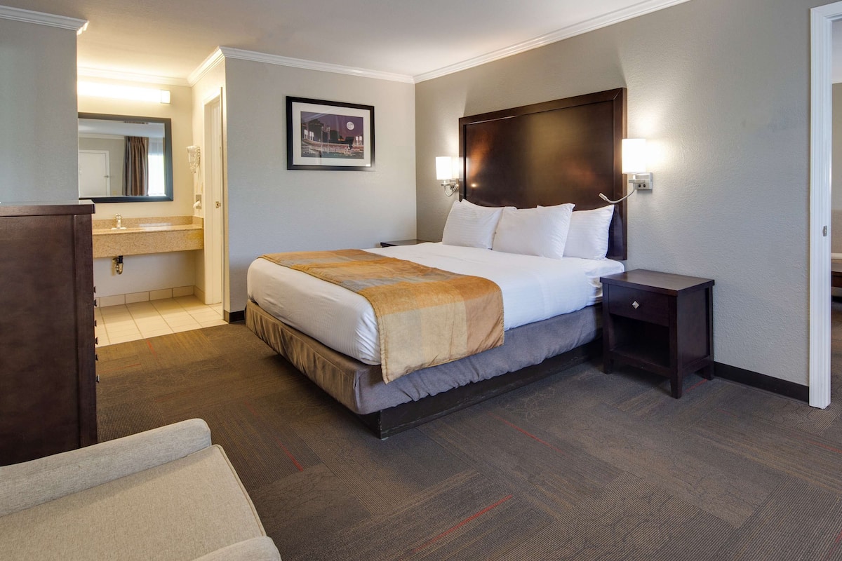 Business Suite, 1 King Bed, Non Smoking, Refrigerator & Microwave (with Sofabed) | In-room safe, laptop workspace, blackout drapes, iron/ironing board