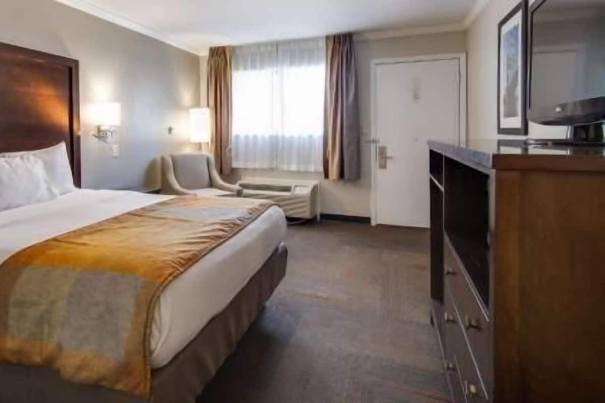 객실 내 금고, 노트북 작업 공간, 암막 커튼, 다리미/다리미판