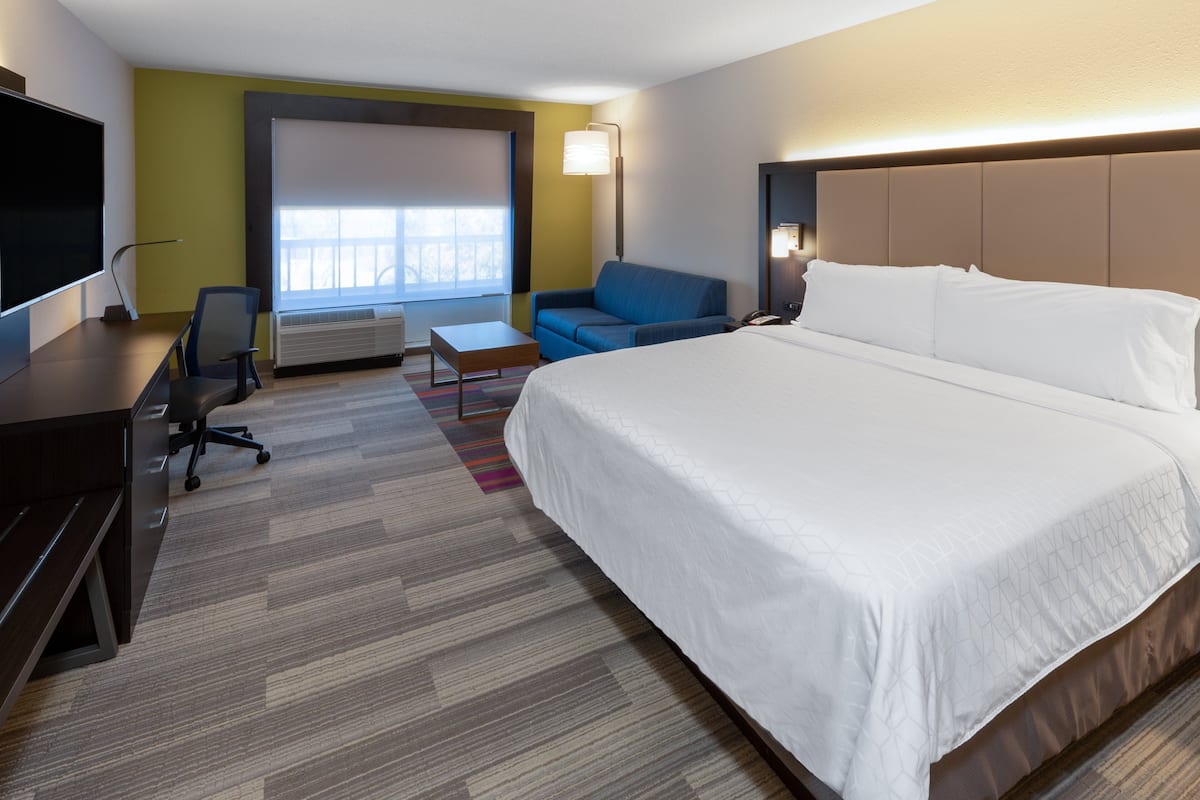 Suite, 1 King Bed with Sofa bed