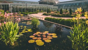 A greenhouse with a glass dome, a water feature with lily pads, and various plants.