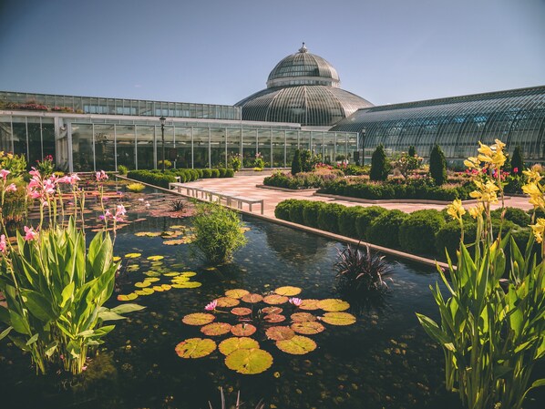 A greenhouse with a glass dome, a water feature with lily pads, and various plants.