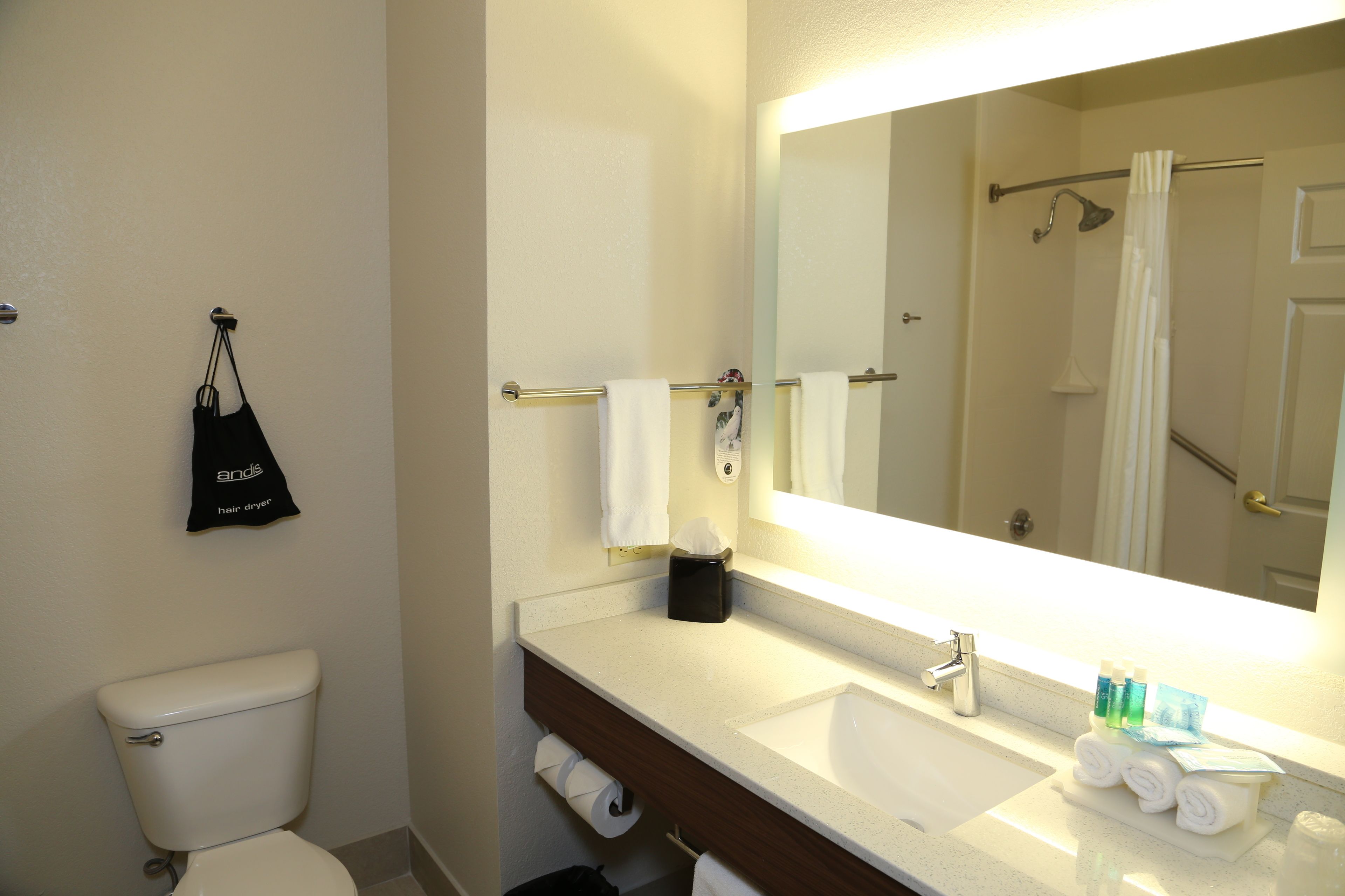 combined shower/bathtub, free toiletries, hair dryer, towels