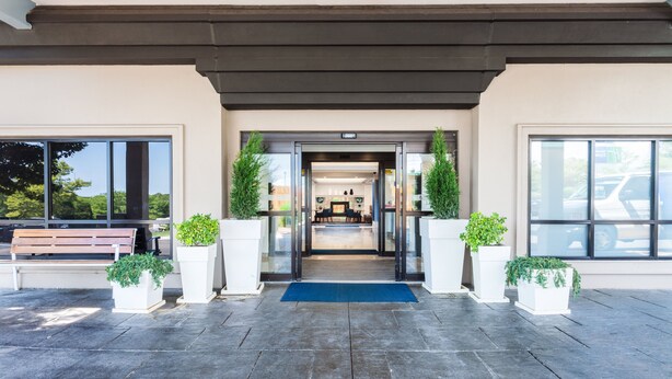 Entrada moderna a un edificio con un banco, plantas en macetas y un tapete azul que lleva a la recepción.
