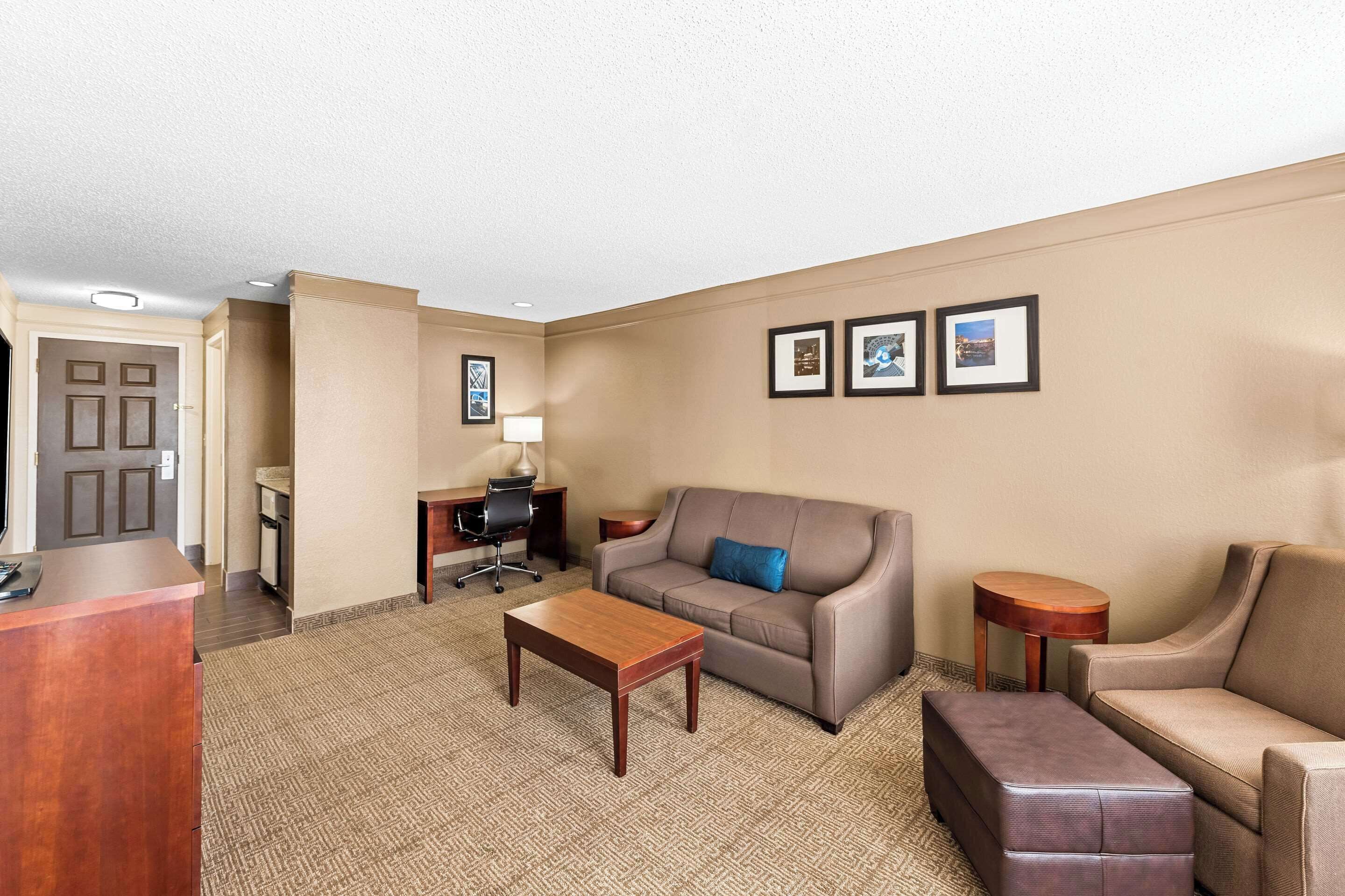 suite, 1 king bed with sofa bed, non smoking (efficiency) | premium bedding, down duvets, in-room safe, desk