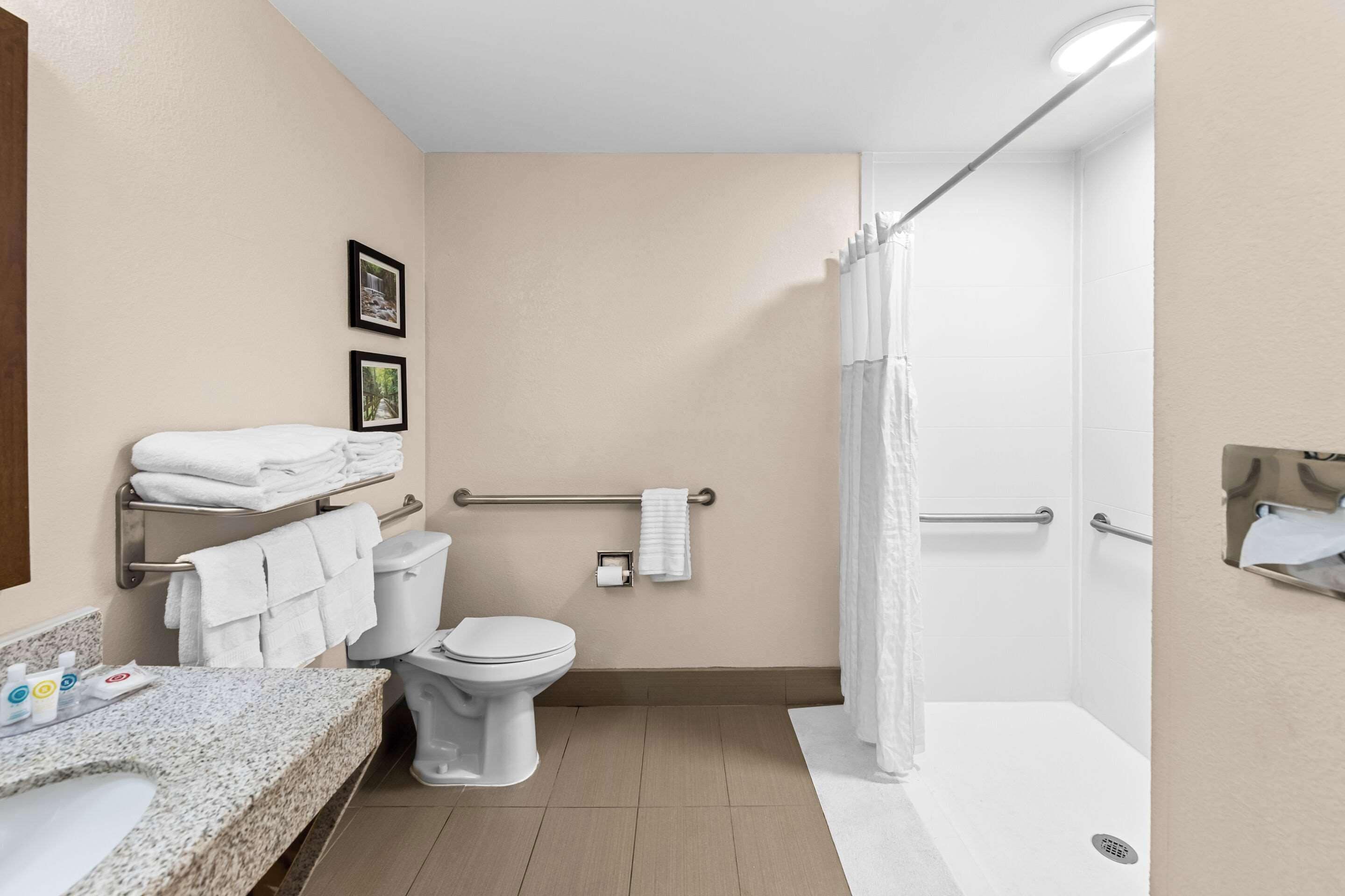 room, 1 king bed, accessible, non smoking | premium bedding, down duvets, in-room safe, desk