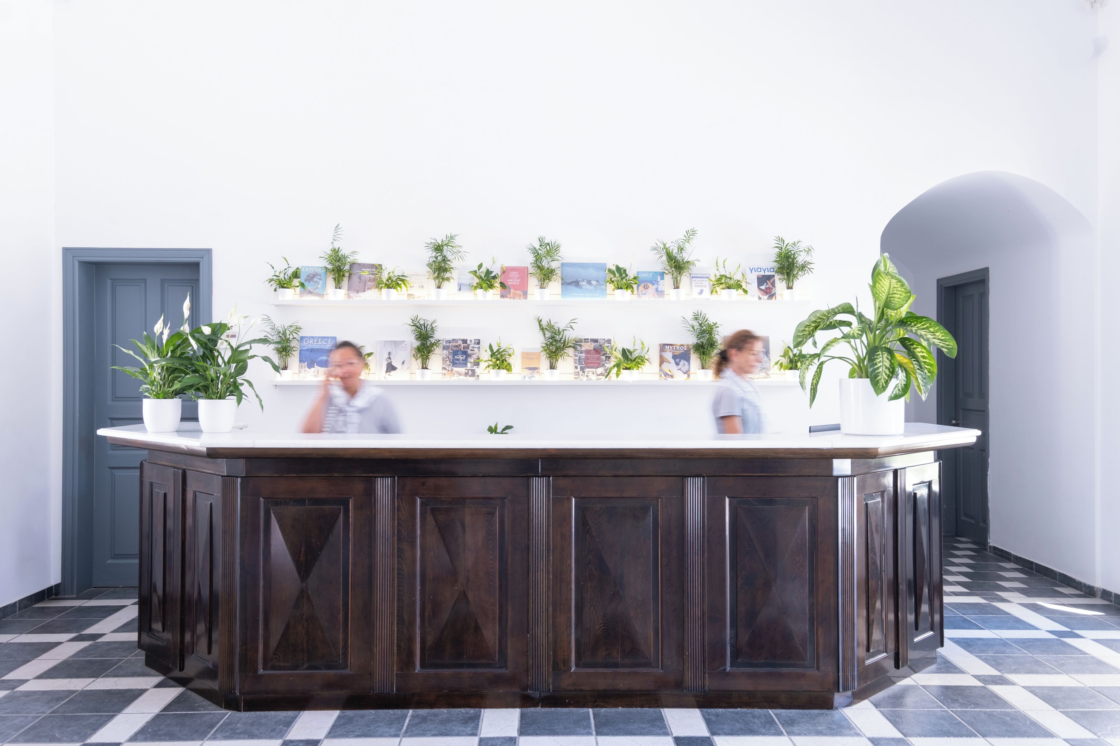 A reception area with a dark wood reception desk, white shelves with books and plants, and a checkered floor.