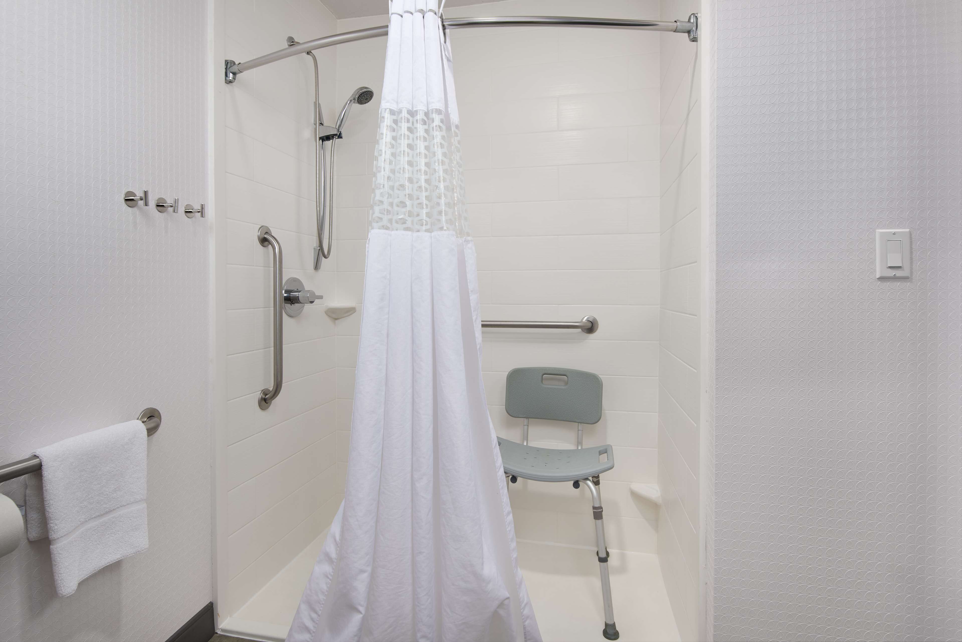 room, 1 king bed, accessible, non smoking | bathroom shower