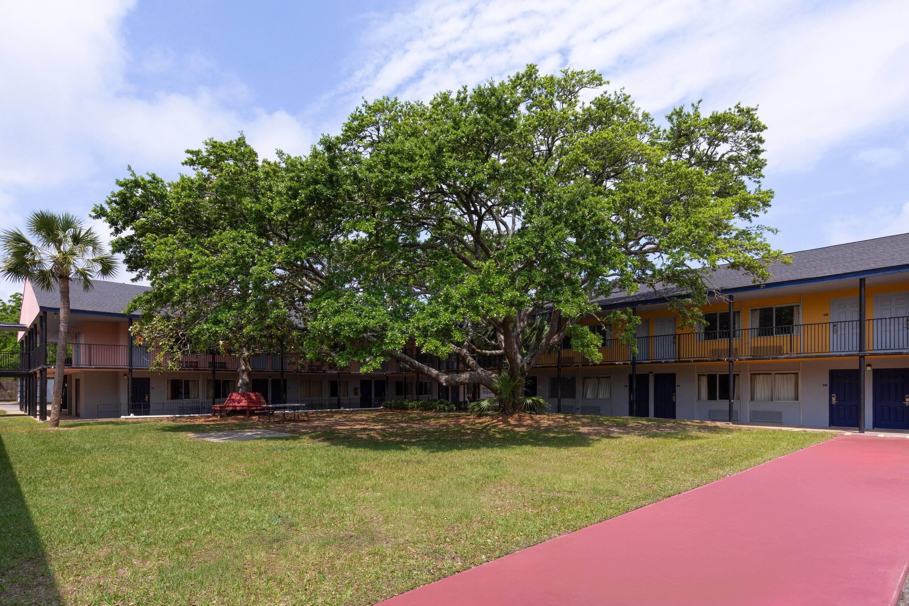 A multi-story building with a red pathway, a large tree in the center, and a clear sky.