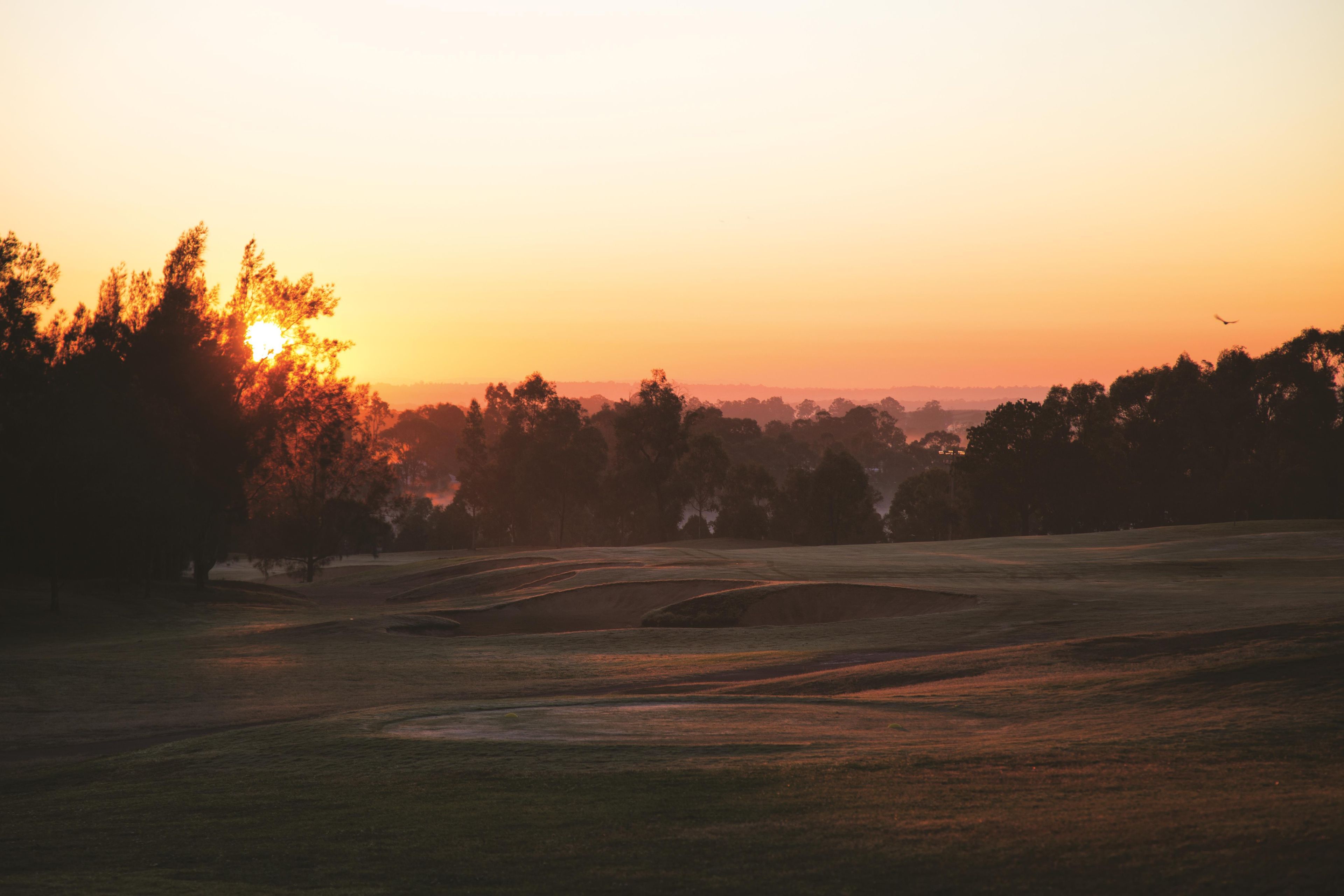 Un terrain de golf au coucher du soleil, avec des arbres et un ciel dégagé.