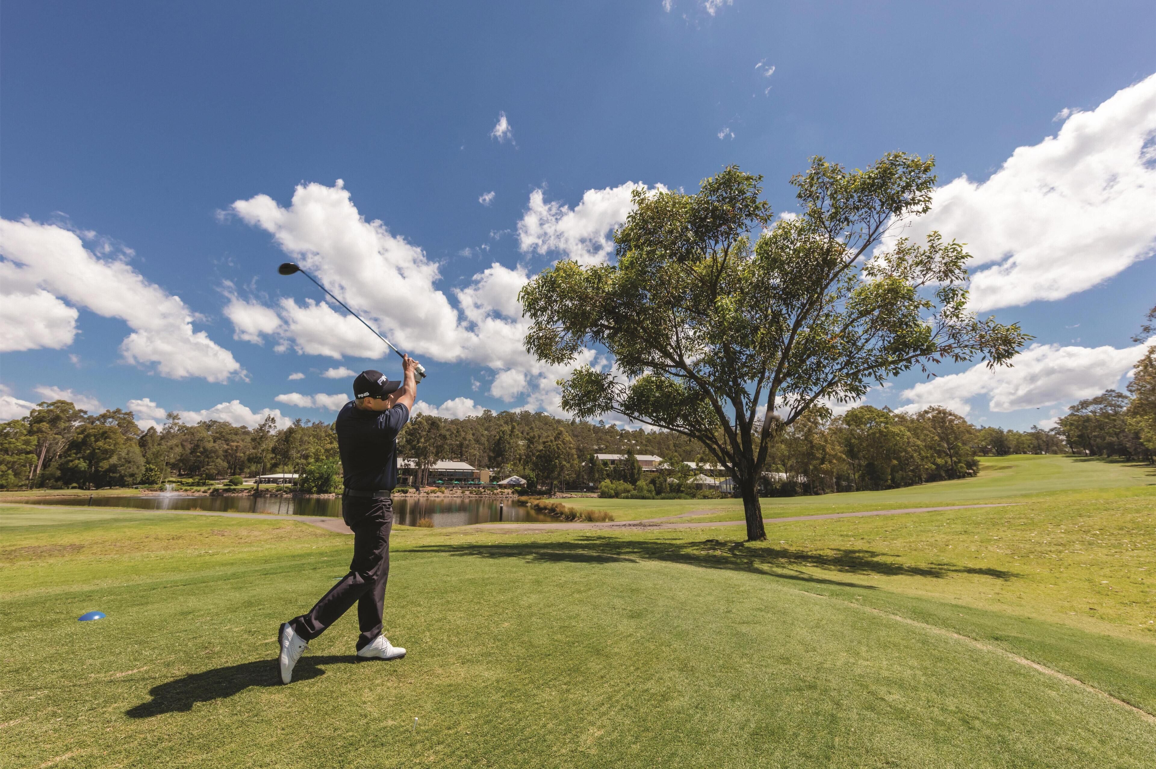 Un parcours de golf avec un ciel dégagé, un étang et un arbre.