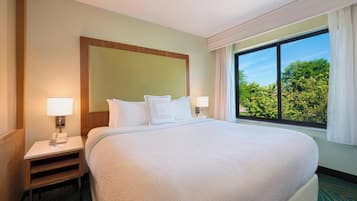 Suite, 1 King Bed with Sofa bed