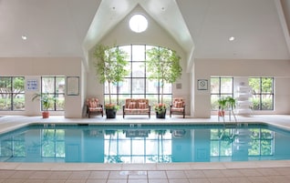 Una piscina interior con techos altos, ventanas amplias y zonas de estar con plantas en macetas.