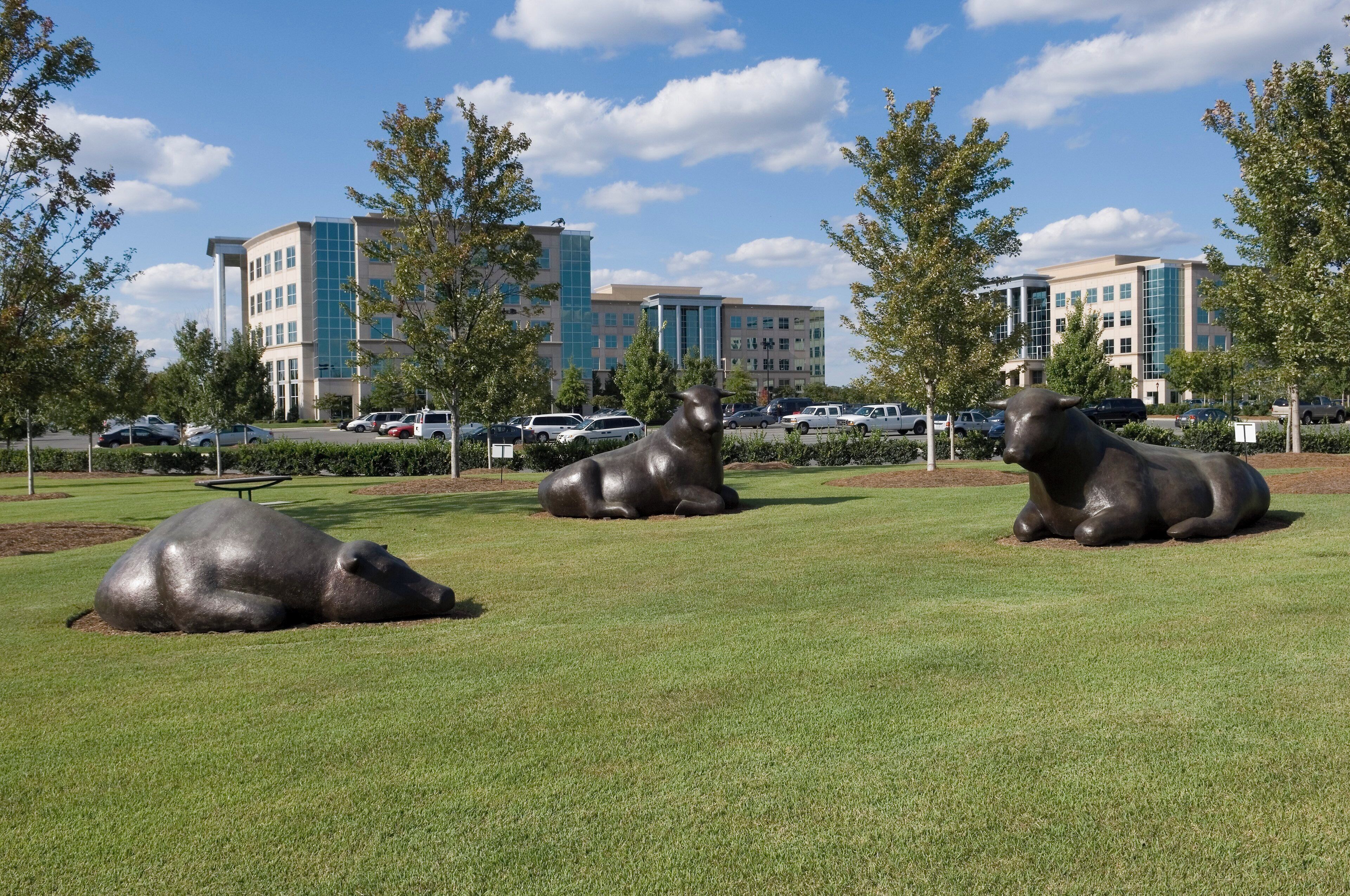 Foto - Staybridge Suites Charlotte Ballantyne by IHG