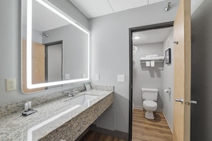 Une salle de bain avec un comptoir en granit, un grand miroir, des toilettes et une porte en bois.