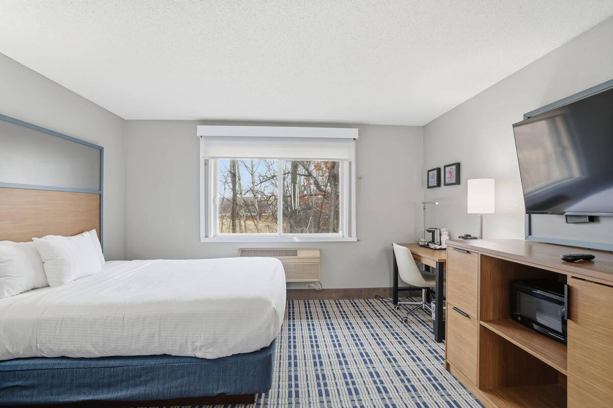 Une chambre d’hôtel avec un lit, un bureau, une télévision et une fenêtre donnant sur des arbres.