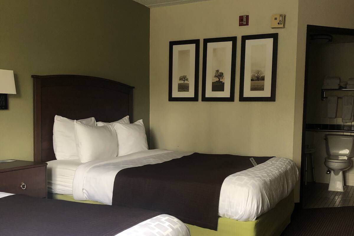 Une chambre d’hôtel avec deux lits, une table de chevet, une lampe fixée au mur et des tableaux encadrés.