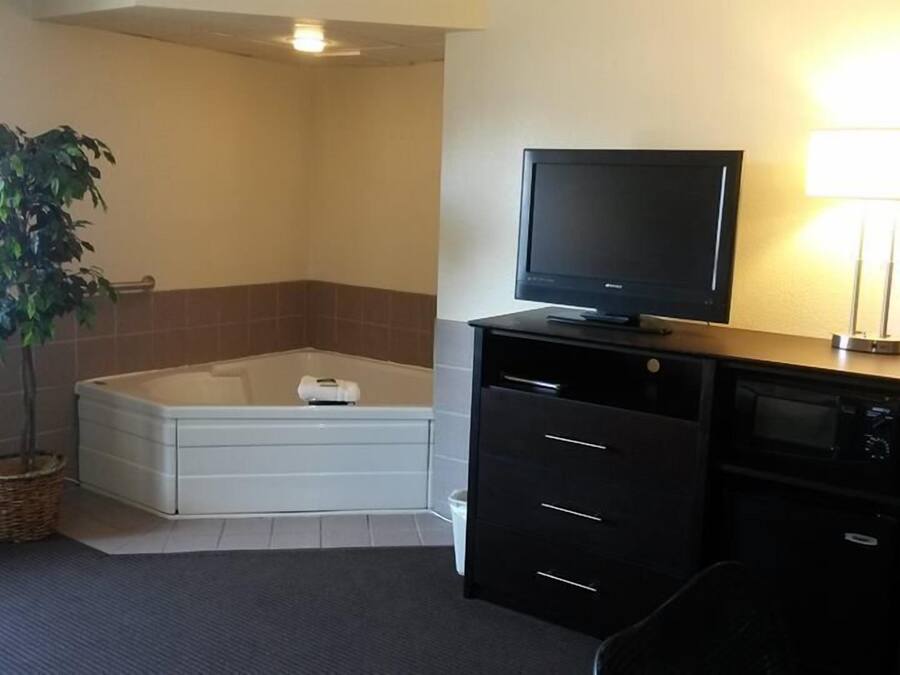 Habitación de hotel con una bañera, un televisor en un mueble, una planta y una lámpara.