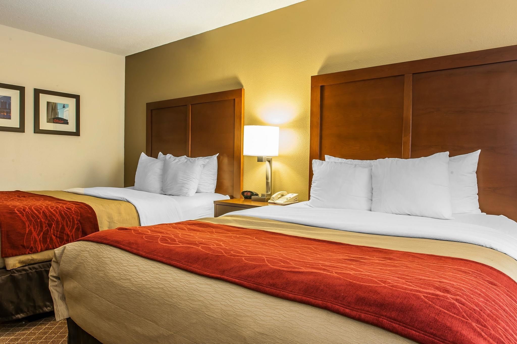 A hotel room with two beds, a nightstand with a lamp, and framed pictures on the wall.