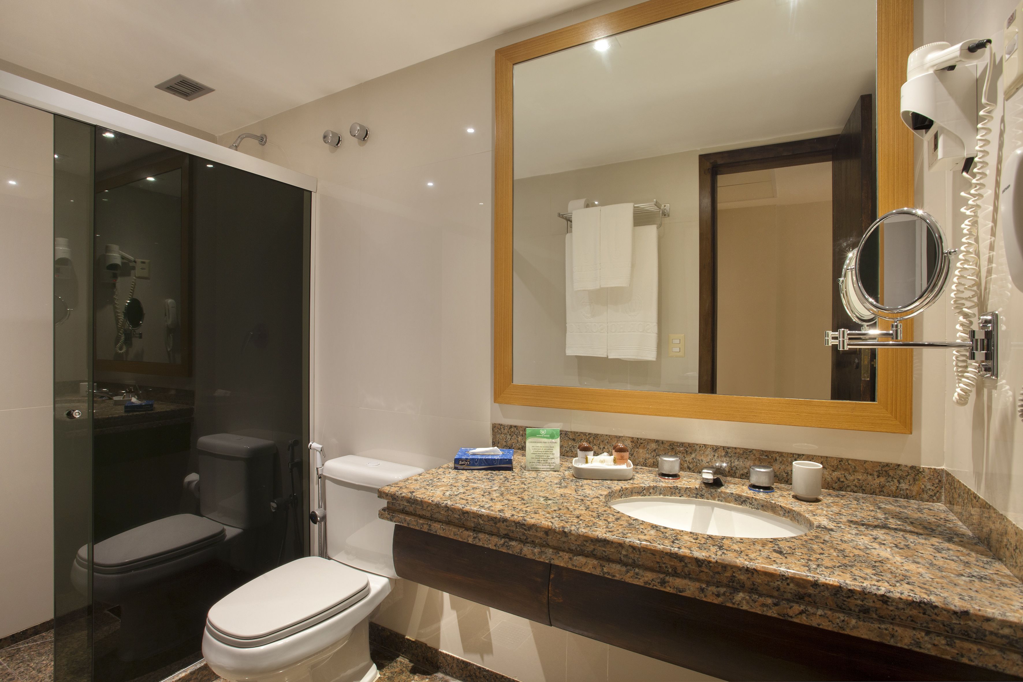 shower, free toiletries, hair dryer, towels