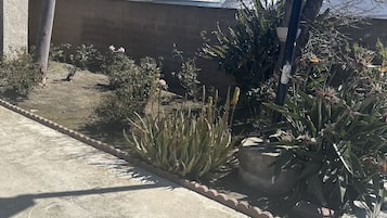 花園