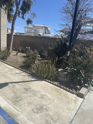 Garden view