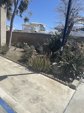 Garden view