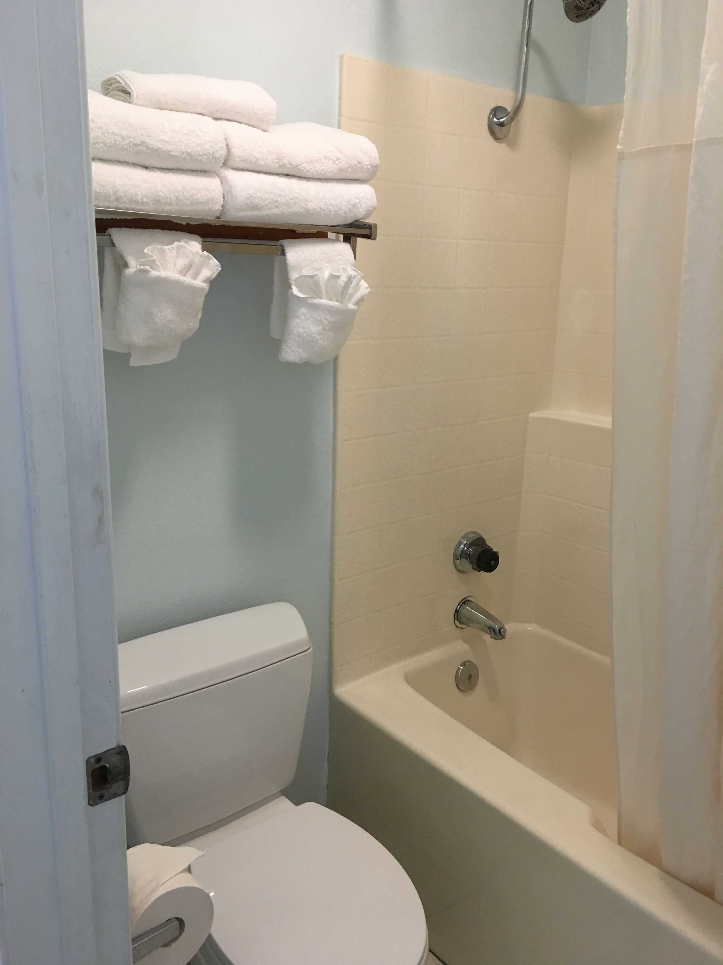 A bathroom with a toilet, a bathtub, and a shower curtain.