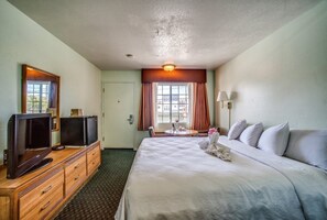 Deluxe Room, 1 King Bed, Non-Smoking, Refrigerator & Microwave (one free parking) | View from room