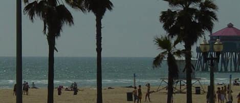 Una playa cerca, 5 bares en la playa