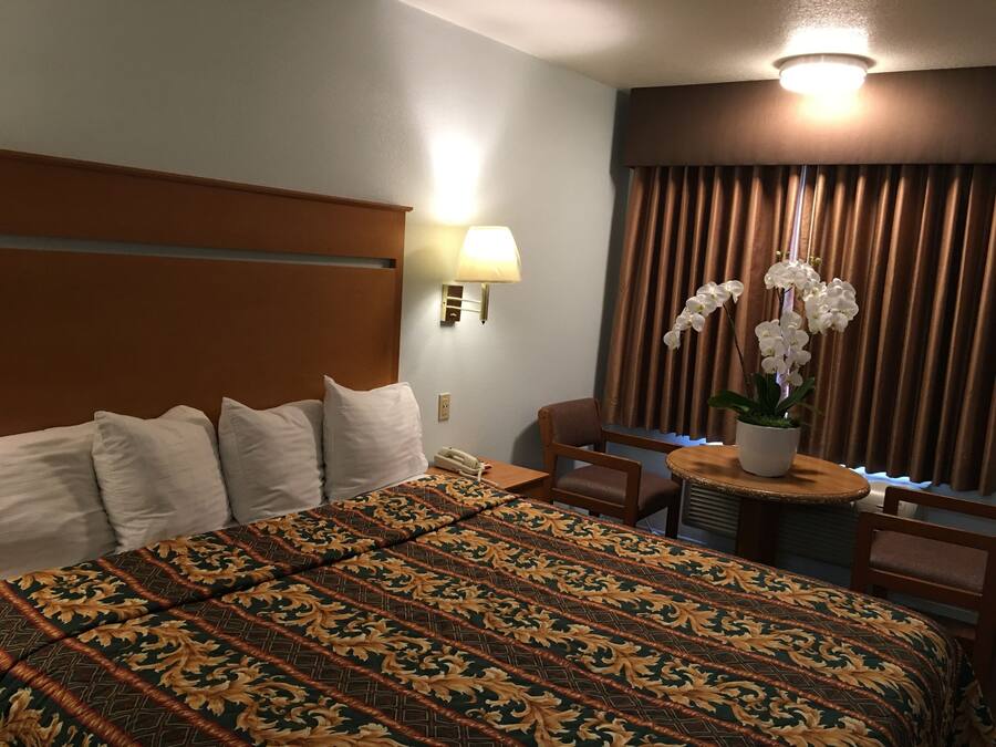 A hotel room with a large bed, a desk with a lamp, a chair, and a potted orchid plant.