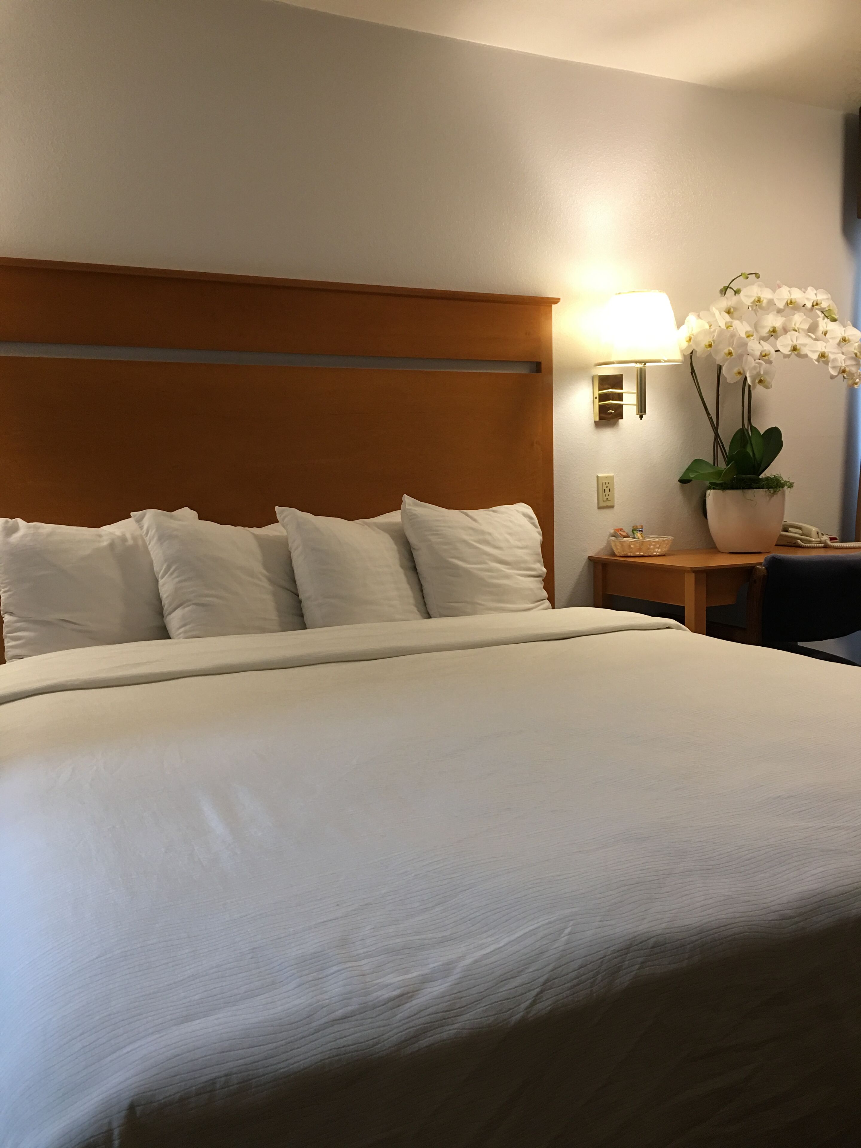 Roupas de cama de algodão egípcio, roupas de cama premium