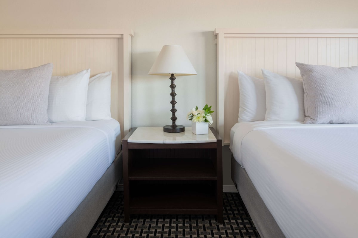 A hotel room with two beds, each with white bedding and pillows, a bedside table with a lamp and a small plant, and a patterned rug.