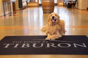 Pet-friendly - The Lodge at Tiburon (Tiburon)