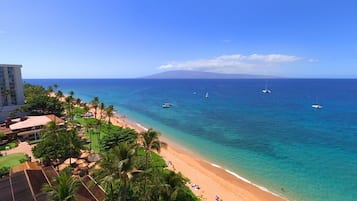 Premium Room, 2 Bedrooms, Oceanfront (2 Bath) | Premium bedding, in-room safe, individually decorated