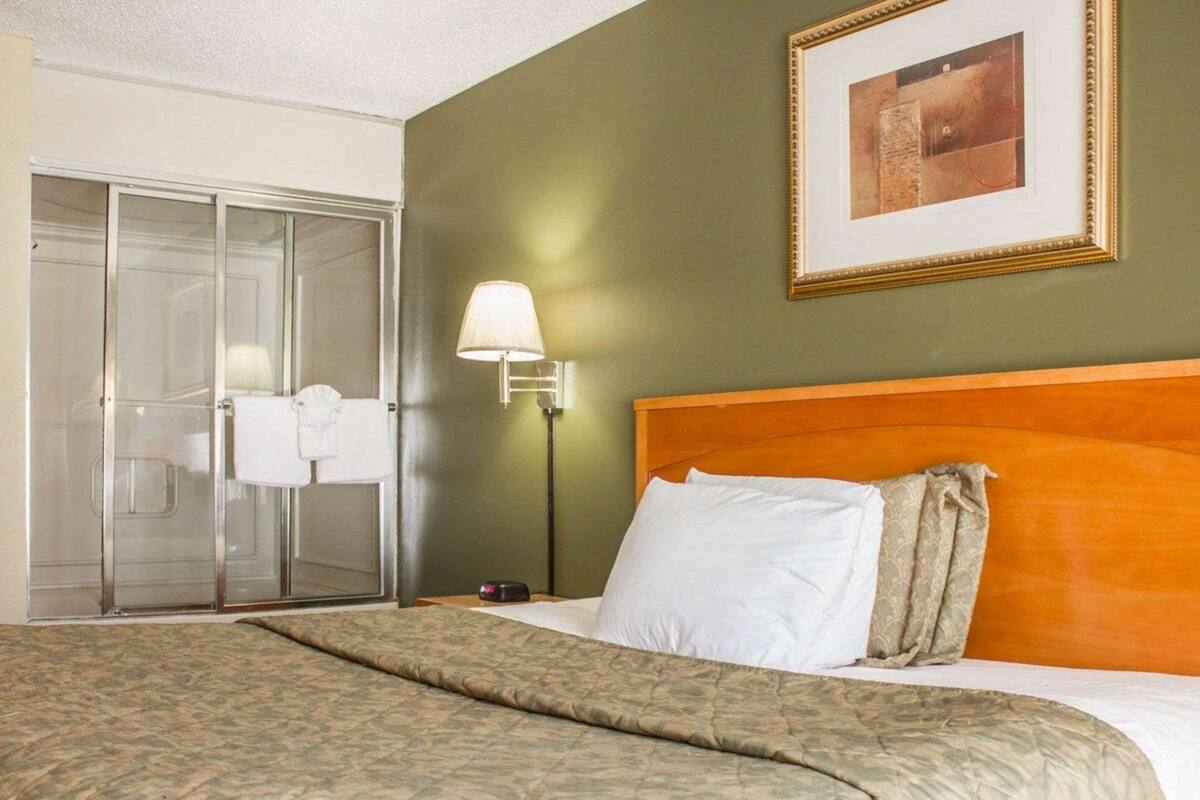 A hotel room with a bed, a nightstand, a lamp, a framed picture on the wall, and a sliding door closet.